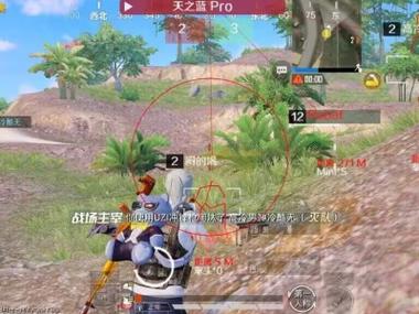 主播玩PUBG都是用的辅助吗（主播玩PUBG是用的电脑吗）